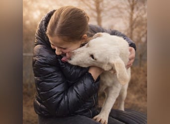Cuki ist bereit für ihr neues Leben