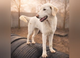 Cuki ist bereit für ihr neues Leben