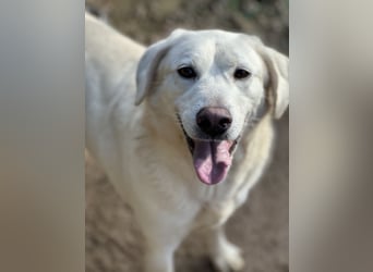 TORBATA - schön & groß