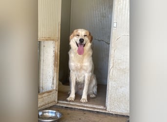 ELIOS - bildschön & menschenbezogen