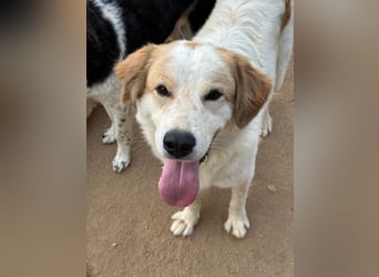 ELIOS - bildschön & menschenbezogen