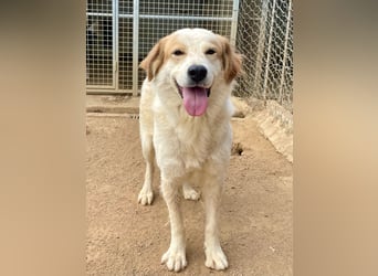 ELIOS - bildschön & menschenbezogen