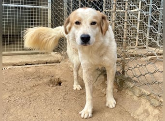 ELIOS - bildschön & menschenbezogen