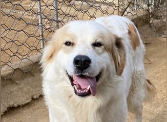 ELIOS - bildschön & menschenbezogen