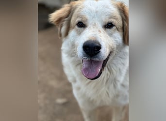 ELIOS - bildschön & menschenbezogen