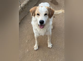 ELIOS - bildschön & menschenbezogen