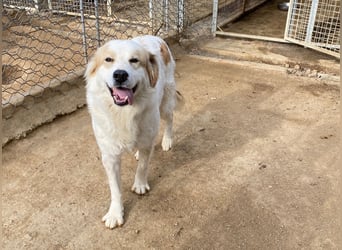 ELIOS - bildschön & menschenbezogen