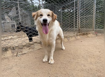 ELIOS - bildschön & menschenbezogen