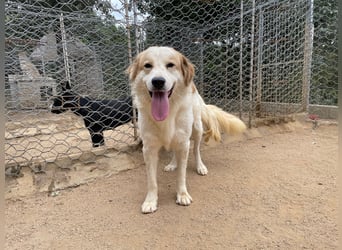 ELIOS - bildschön & menschenbezogen