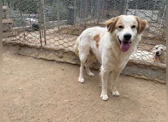 ELIOS - bildschön & menschenbezogen