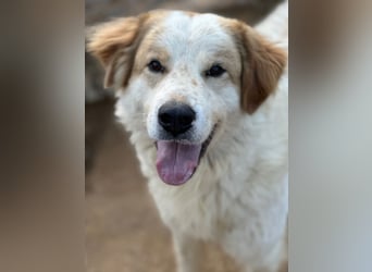 ELIOS - bildschön & menschenbezogen