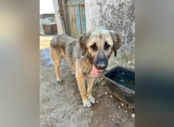 Tschaikowsky in Sascut
