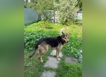 VALDAY- erhofft sich eine 2.Chance