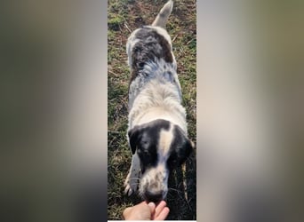 Luna - Lebensfreude pur!