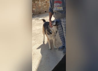 Chico - schüchtern, aber neugierig aufs Leben