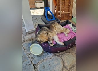 Zeus PM - ein verspielter und lustiger Bub