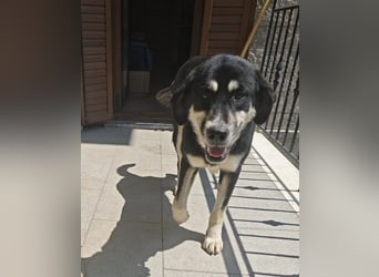 Kalomira bedeutet "gutes Schicksal"