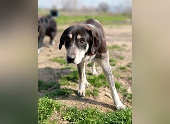 Kendra - eine (fast) perfekte Lady <3