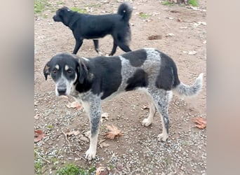 Kendra - eine (fast) perfekte Lady <3