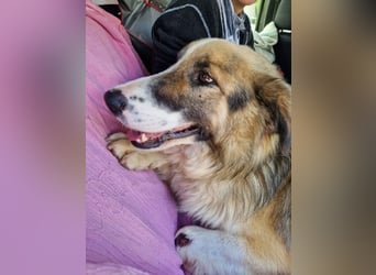 Zeus PM - ein verspielter und lustiger Bub