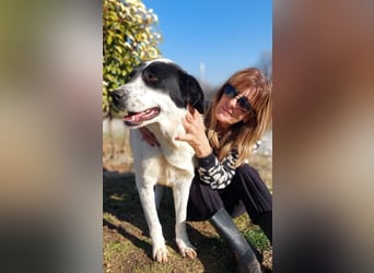Rowina - wo ist meine Familie?