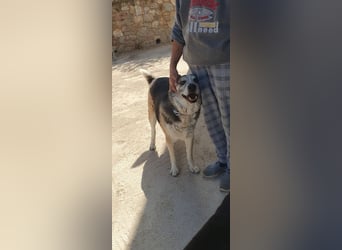 Chico - schüchtern, aber neugierig aufs Leben