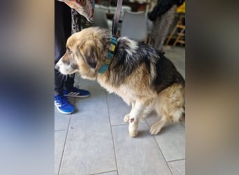Zeus PM - ein verspielter und lustiger Bub