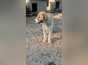 Thalia - sie will groß rauskommen