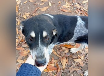 Kendra - eine (fast) perfekte Lady <3