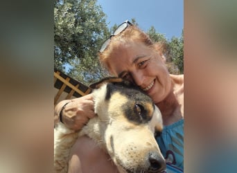 Alma - strahlt Liebe und stilles Vertrauen aus