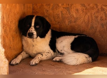 Timon - sehr besonderer Bub, braucht Zeit und Geduld