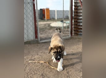 Nuria - Verspielte Nuria möchte die Welt entdecken