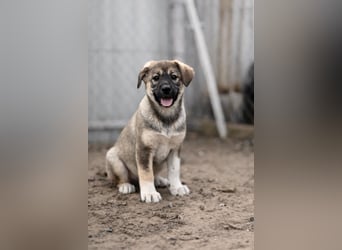 Nuria - Verspielte Nuria möchte die Welt entdecken