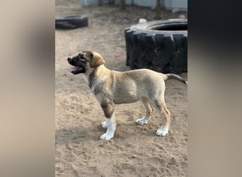 Nuria - Verspielte Nuria möchte die Welt entdecken