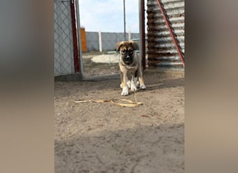 Nuria - Verspielte Nuria möchte die Welt entdecken