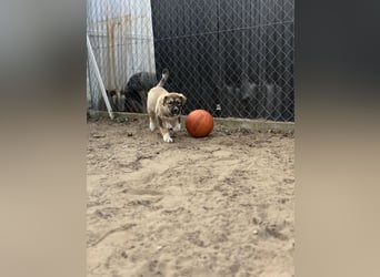 Nuria - Verspielte Nuria möchte die Welt entdecken