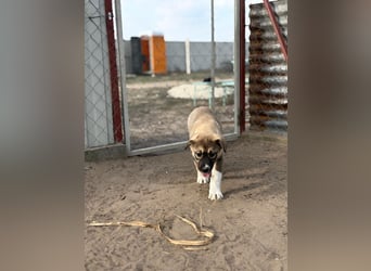 Nuria - Verspielte Nuria möchte die Welt entdecken