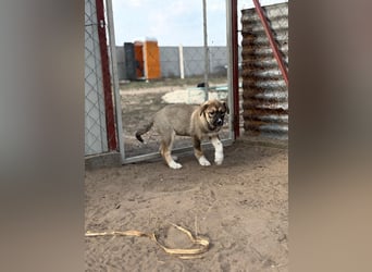 Nuria - Verspielte Nuria möchte die Welt entdecken