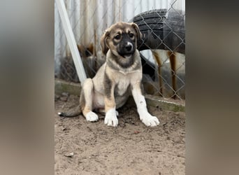 Nuria - Verspielte Nuria möchte die Welt entdecken