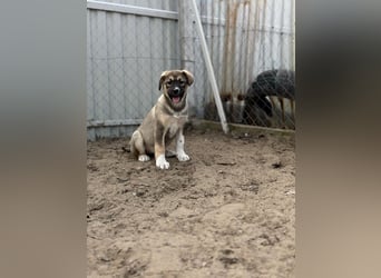 Nuria - Verspielte Nuria möchte die Welt entdecken