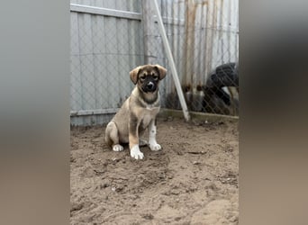 Nuria - Verspielte Nuria möchte die Welt entdecken