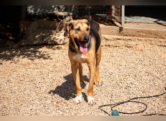 Lennard sucht Menschen mit Herz, Geduld und Verständnis