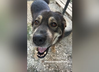 Sheri (6) wartet auf Dich