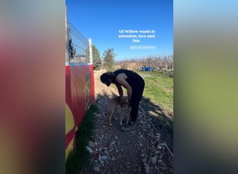 Willow (2) ist bereit für die Welt