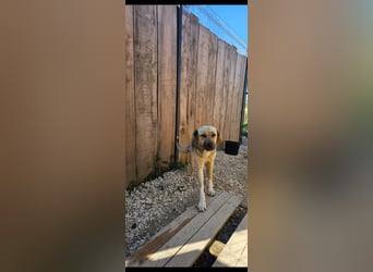 Willow (2) ist bereit für die Welt