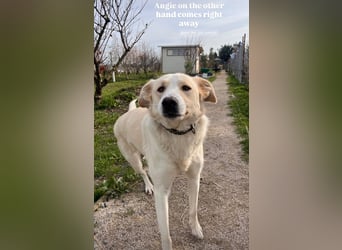 Anxhi (3) sehnt sich nach einer Familie