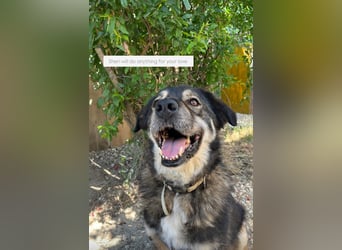Sheri (6) wartet auf Dich
