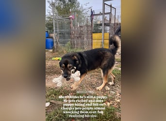 Sheri (6) wartet auf Dich