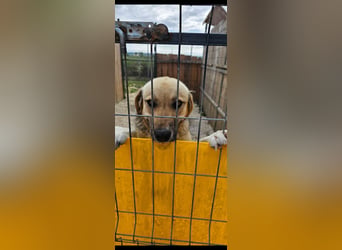 Willow (2) ist bereit für die Welt