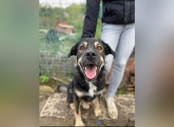 Sheri (6) wartet auf Dich